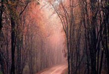 关键时刻球队大规模进攻，对手防线岌岌可危