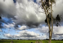 南特状态火热，争取夺取连胜