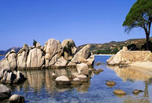 中国田径队斩获两枚金牌，表现强劲